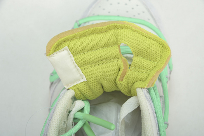 of x dunk low 